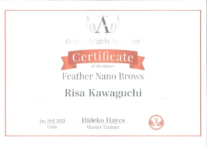 Beauty Angels Academy Feather Nano Brows